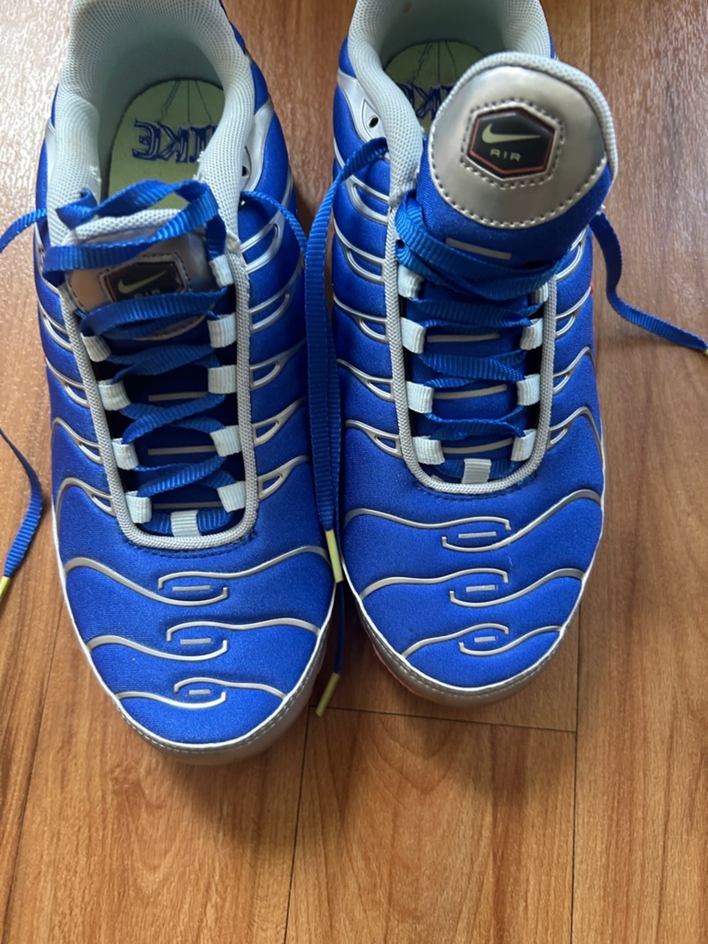 Nike Blue & Silver Athletic Sneakers
*air max plus 
*great condition barely worn